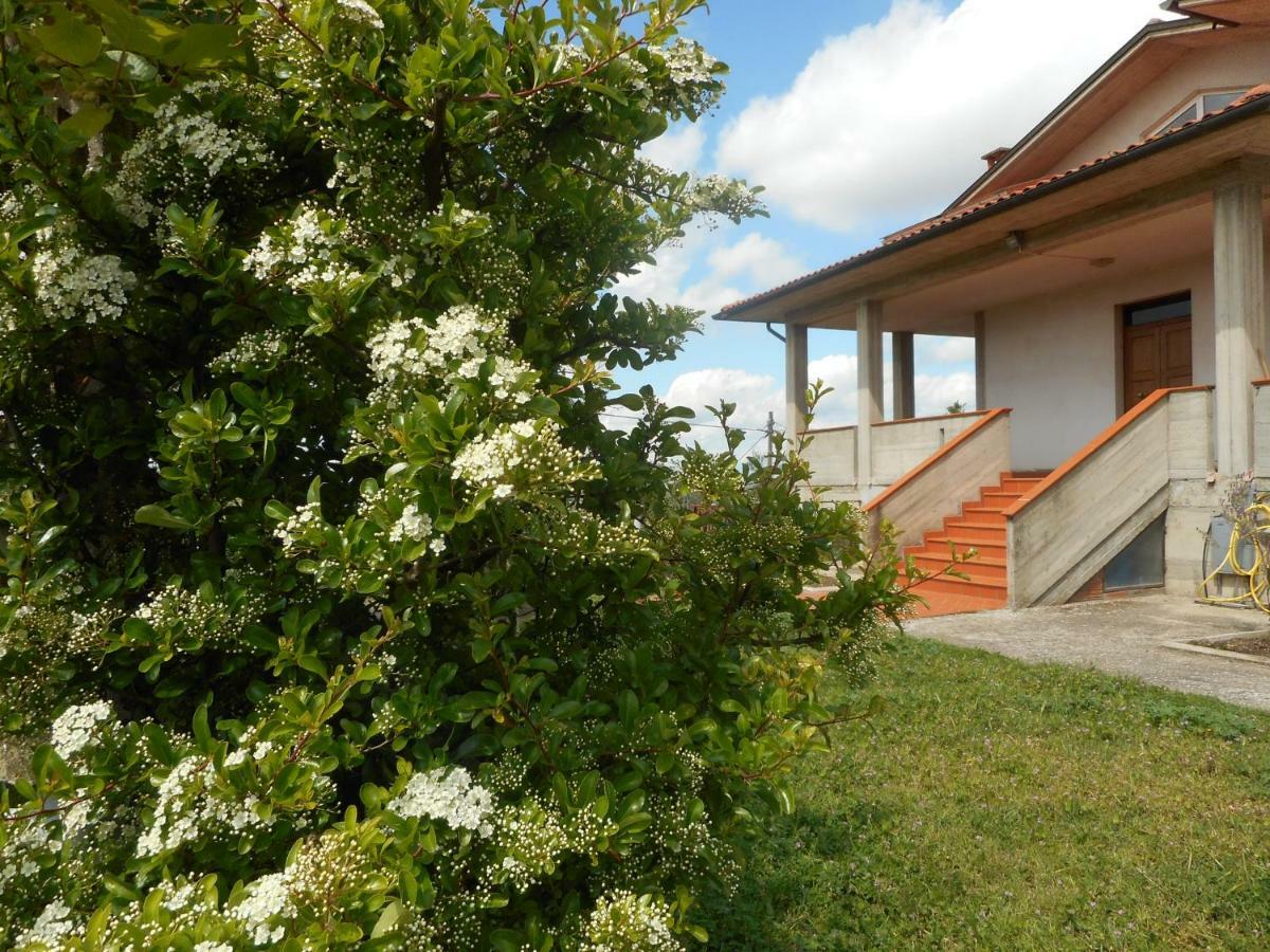 Appartement Poggio Fiorito à Castiglion Fiorentino Extérieur photo