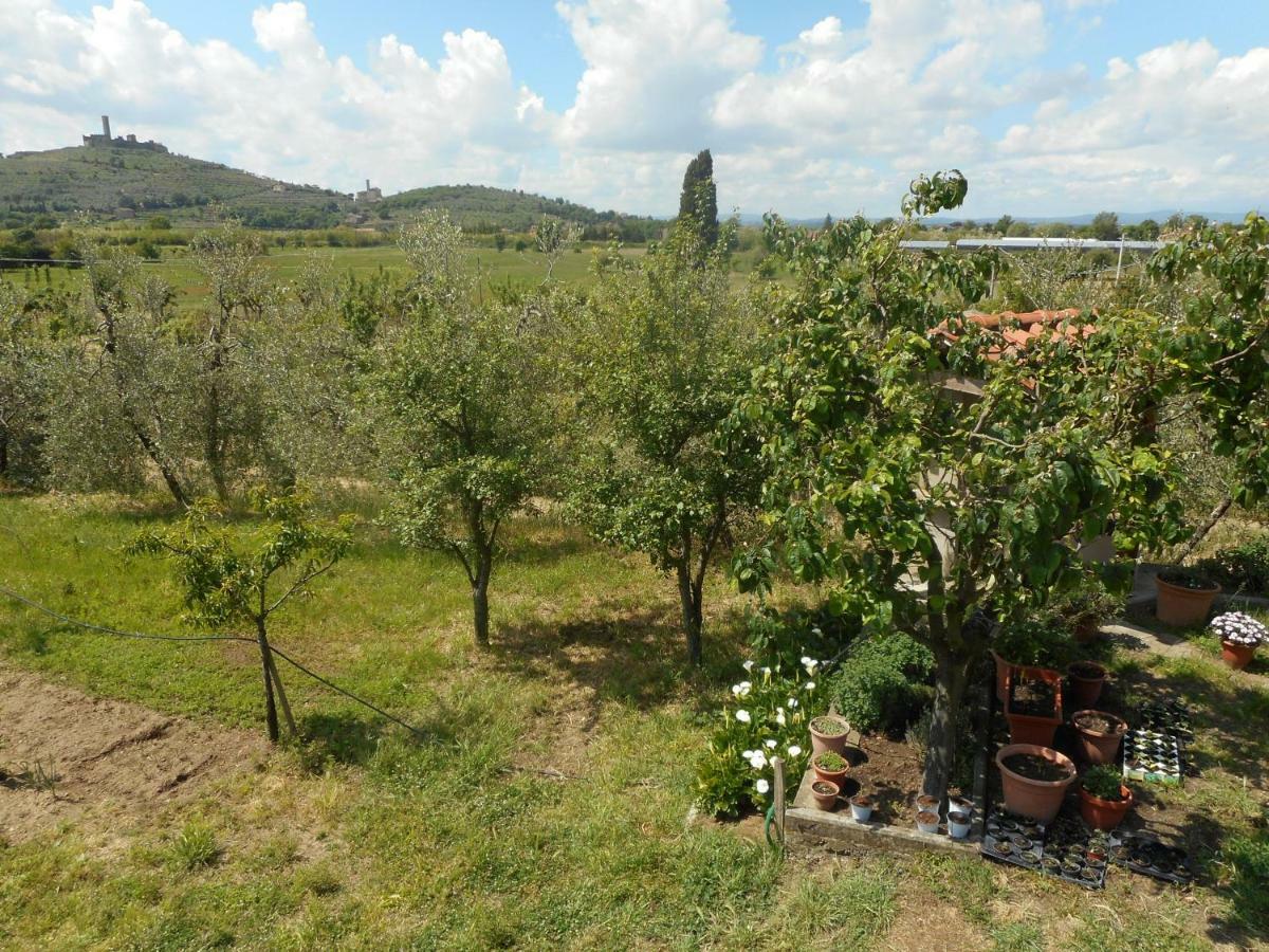 Appartement Poggio Fiorito à Castiglion Fiorentino Extérieur photo