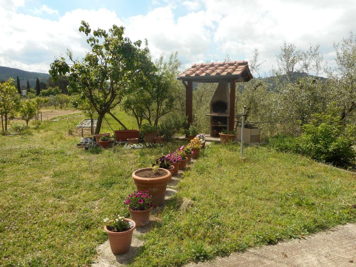 Appartement Poggio Fiorito à Castiglion Fiorentino Extérieur photo
